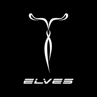 ELVES BIKE (精灵）官网